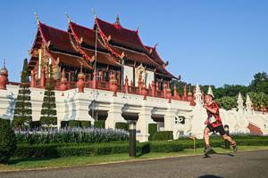 BIB: 
                            <button type="button" onclick="openModal(22456011)" class="btn btn-primary btn-sm float-right btn-popup" data-toggle="modal" data-target=".modal-high-quality">
                        <i class="fas fa-shopping-cart"></i> Add to Cart
                    </button>
                                            <button type="button" onclick="isThisMe(22456011, true)" class="btn btn-success btn-sm float-right btn-popup btn-isme hidden" data-toggle="tooltip" data-placement="bottom" title="นี่คือรูปของคุณใช่ไหม คลิกที่นี่เพื่อเอาเข้าอัลบั้ม">
                        <i class="fas fa-plus"></i> Add to album
                    </button>
                    <button type="button" onclick="isThisMe(22456011, false)" class="btn btn-warning btn-sm float-right btn-popup btn-isnotme hidden">
                        <i class="fas fa-ban"></i> Remove from album
                    </button>